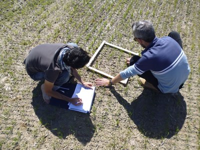 campagna 15 maggio 2014_4