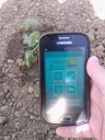 Collaudo dell'App Space4Agri in campo