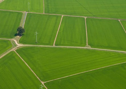 Prodotte le prime mappe S4A, risultato della sinergia tra ricercatori e agricoltori della Lomellina