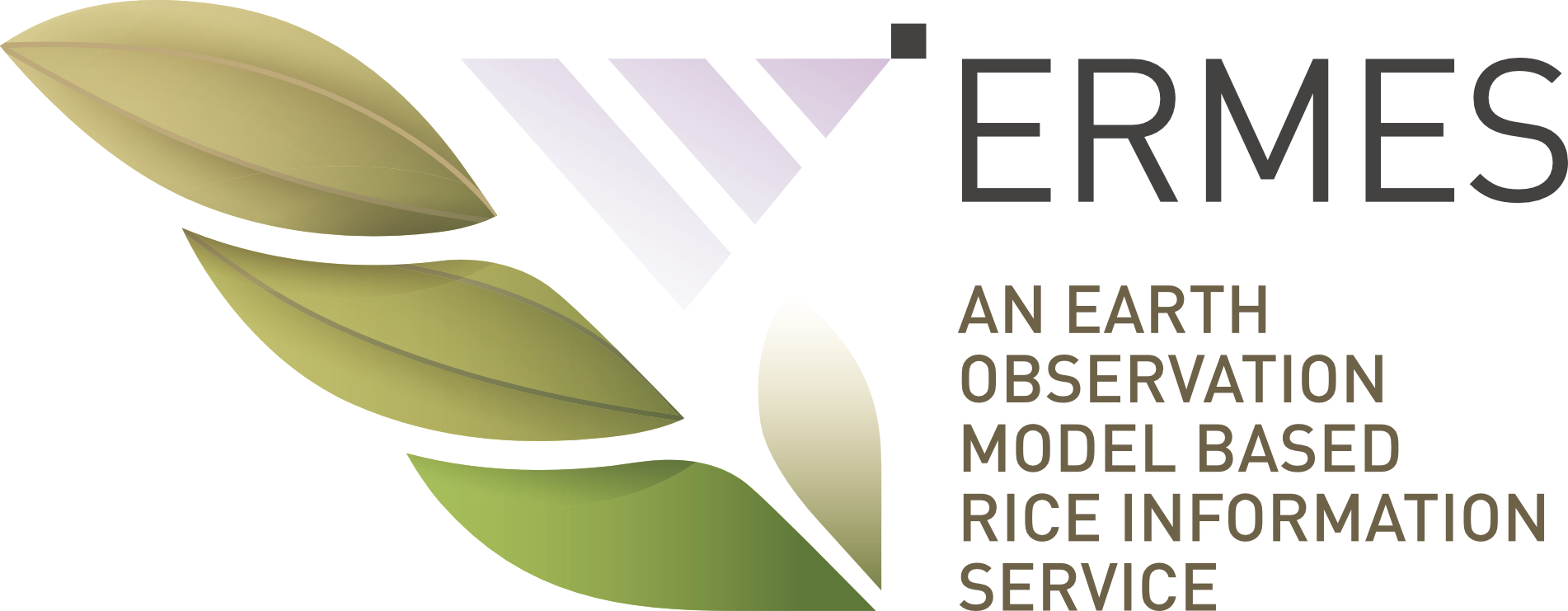 Online il sito del progetto ERMES: an Earth observation model based rice information service